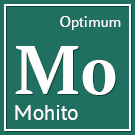 bizsolutions.mohito