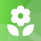 Модуль для 1С-Битрикс - Адаптивный лендинг цветочного магазина [jcode.flowers]