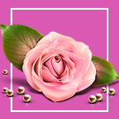 Модуль для 1С-Битрикс - Florist: доставка цветов,подарков,магазин цветы на Старте  [webstudiosamovar.kodveri2]