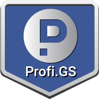 gvozdevsoft.profigs